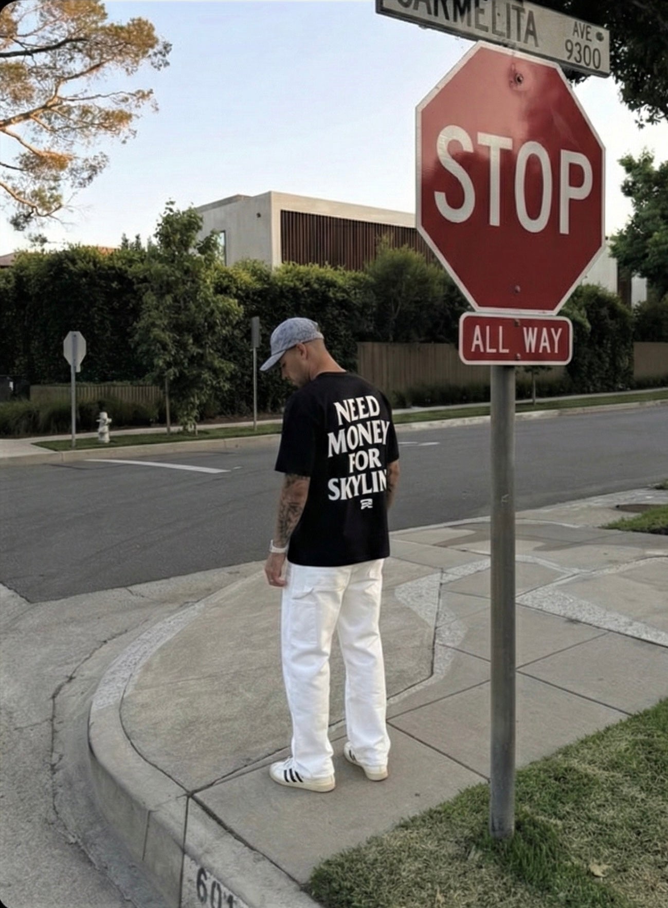 Need Money For Skyline